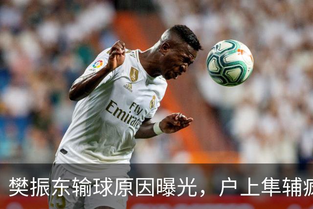 樊振东输球原因曝光，户上隼辅疯狂庆祝！赵子豪一番话太暖心！