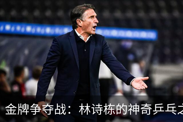 金牌争夺战：林诗栋的神奇乒乓之旅